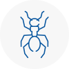 Ant Removals In Nantwich