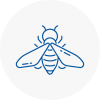 Bee Nest Removal Nantwich