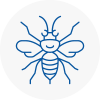 Nantwich Hornet Nest Removals