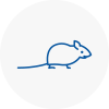 Mice Exterminators In Nantwich