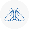 Moth Control Specialists In Nantwich