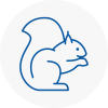 Nantwich Rodent Removals
